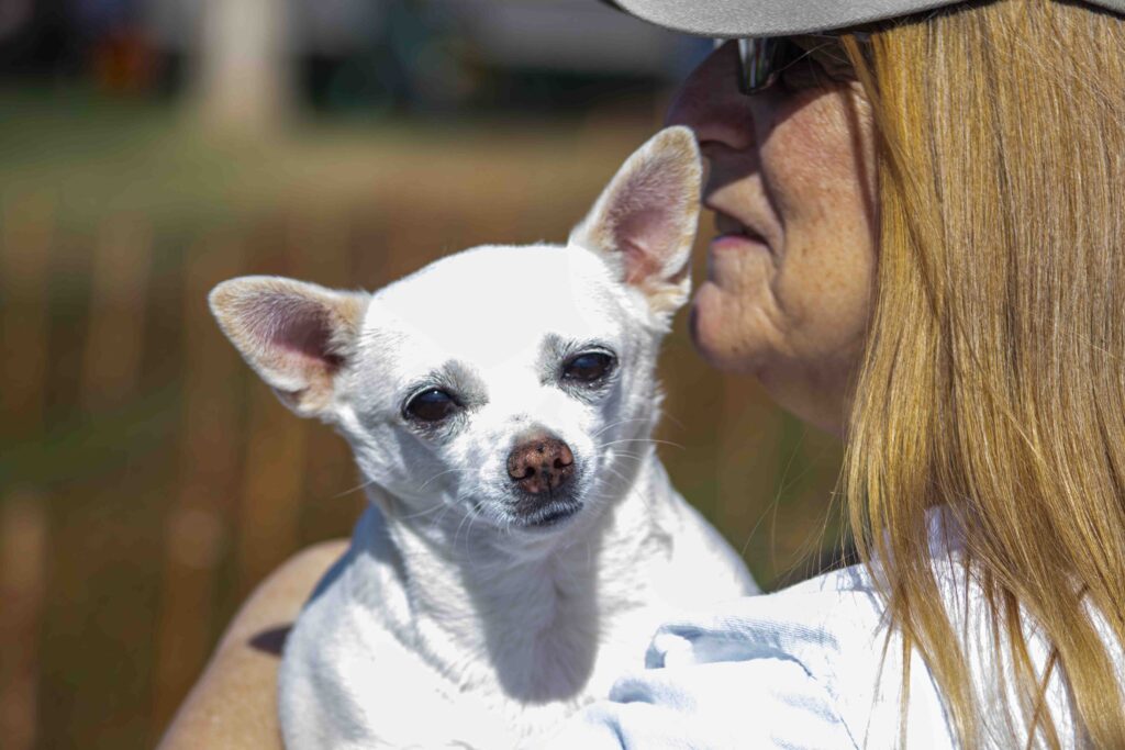 “Familias con sus mascotas en Petpeloza Somerton”